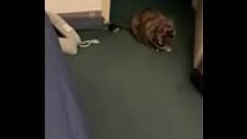 Preview 1 of X Xx3video - Verification video