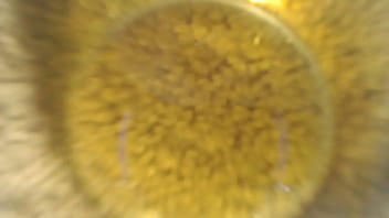 Preview 4 of New Sexy Movie Pakistani Urdosex - 916 My very first toilet video from too hot for you Dawnskye