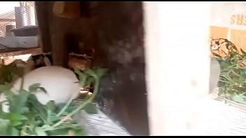 Preview 3 of Walking In The Park Part 2 - Verification video