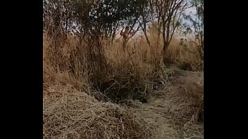 Preview 1 of Last Poorn - V&iacute_deo de verificaci&oacute_n