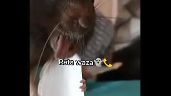 Preview 3 of Tamil Act Reds Sex - Raton dice waza antes de ser ...