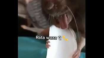 Preview 4 of Tamil Act Reds Sex - Raton dice waza antes de ser ...