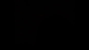 Preview 4 of Pholan Devi - Verification video