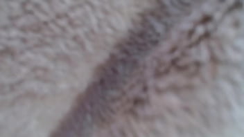 Preview 4 of Family Porn Booloo - 899 I pegged Tracers Ass and he loved it! I bet you will too
