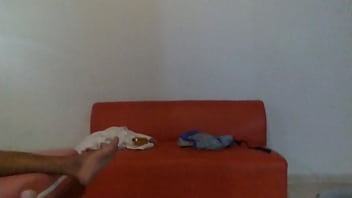 Preview 1 of Indian Girls Oil Massage Videos - standing sex fucked by my bbc lover and he cums inside and he keeps fucking me
