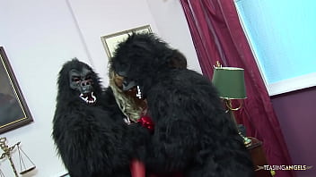 Preview 1 of Art Of Zoo 3gp - Two guys in gorilla suits get to bang two blonde MILFs