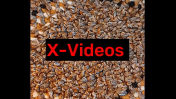 Preview 2 of Sec Xx Fuk - Verification video