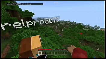 Preview 1 of Duana Prinve - Jugando al Minecraft con m&iacute_a migo