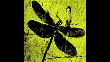 Preview 1 of San Ln - Dark Lantern Entertainment Presents &#039_The Dragonfly&#039_