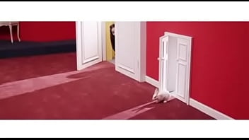Preview 2 of Pussy Lick Eat - Verification video
