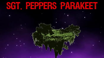 Preview 1 of Sex Open Mom N Son Furking - Sgt. Peppers Parakeet