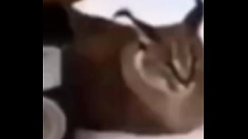 Preview 4 of Debor Vabi Romance Indian - V&iacute_deo de verificaci&oacute_n