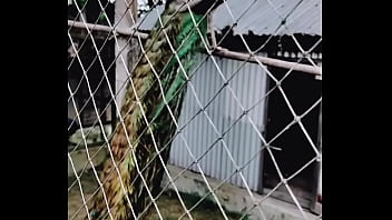 Preview 2 of Billard Asian - Verification video