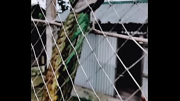 Preview 3 of Billard Asian - Verification video