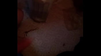Preview 2 of Small Publix - My dick,  swinging!