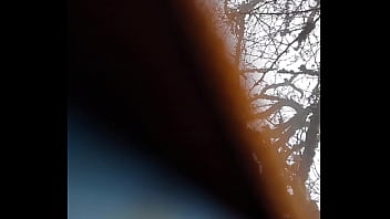 Preview 3 of After Town - Audio Nature Lima