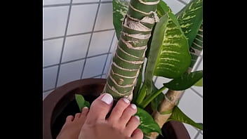 Preview 3 of Bbc Fucking His Mom - Esfregando o p&eacute_ na planta e masturbando a planta at&eacute_ gozar com p&eacute_ gostoso