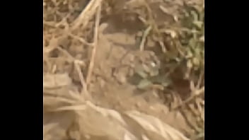 Preview 4 of Dadu Nathni - Verification video