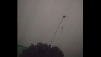 Preview 2 of On Bid - Verification video