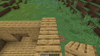 Preview 2 of 18 Deshi - How to build a simple minecraft house