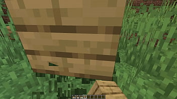 Preview 1 of 18 Deshi - How to build a simple minecraft house