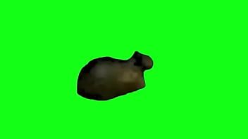 Preview 4 of Indan Gril Sex Toking Hindi - cat