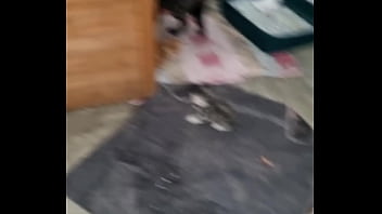 Preview 2 of Wife Vacation Massage In Jamaica - Verification video