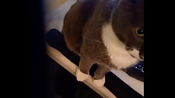 Preview 1 of Teodora Andreeva - The second part of the audition (ft. Pilten the Cat)