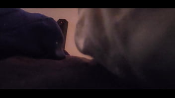 Preview 1 of Big Tits Daughter Fuckef - Backshots in morning