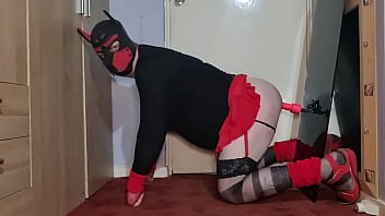 Preview 2 of Danny Liston Xxx - crossdresser would love to be your dog so he can take your cock doggystyle