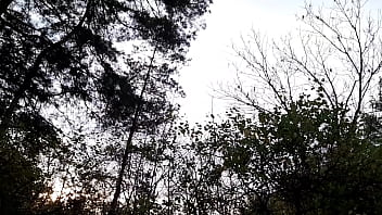 Preview 1 of Xxx Dsi Com - Mouthfuck and cum in my girlfriend&#039_s mouth in the dark woods - Girls fly orgasm