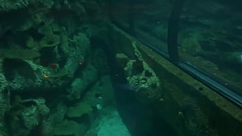 Preview 2 of Yang Womam Boya Littal - Aquarium Trip with Aliya Brynn Turns Into Aggreive Ass Eating and Milking