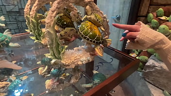 Preview 3 of Yang Womam Boya Littal - Aquarium Trip with Aliya Brynn Turns Into Aggreive Ass Eating and Milking