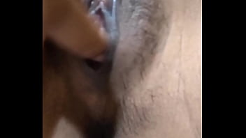 Preview 1 of Indian Girl Sex Hd Vedio - INDONESIA GIRL PLAY PUSSY WITH FINGER 2025