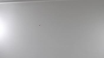 Preview 1 of Busty Butt Ass - Verification video