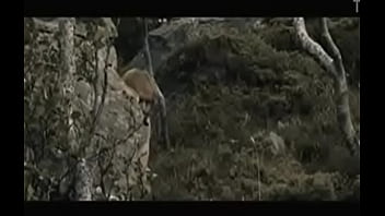 Preview 1 of Atack Girld - What is the name of the film?