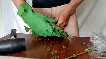 Preview 3 of Intense Outdoor - Wombat&#039_s stinging nettles dare game