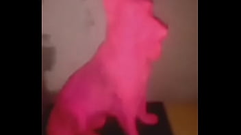 Preview 1 of Indian Boy Dickflash - moiprat my pee