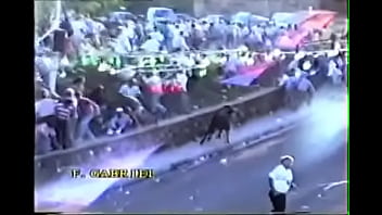 Preview 3 of Mia Kha Kita - Amarrada 2009