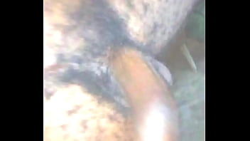 Preview 3 of Real Lovers Fucking - Feed your eyes with that dick