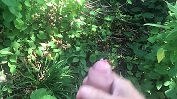 Preview 3 of Seachelder Siter - outdoor cumshot 4