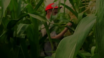 Preview 1 of Cream Pie Orgasm Compilation - Help a friend in the cornfield