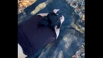Preview 3 of Xxx Massage Movies Hd - En el campo culeando