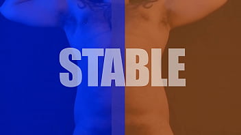 Preview 4 of Sexy Bp Dog Dog - BLUE &amp_ BROWN GAY BEAR | geniusgay.com