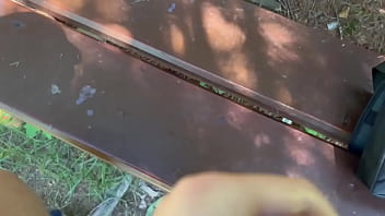 Preview 4 of Senny Leone Porn Sex Video - Public cumshot on park bench outdoors