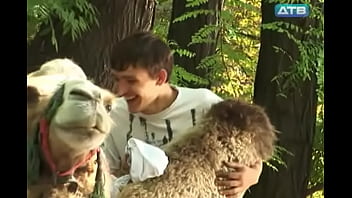 Preview 3 of Gay Muvi - ЭРОТИЧНАЯ ПОГОНЩИЦА ВЕРБЛЮДОВ