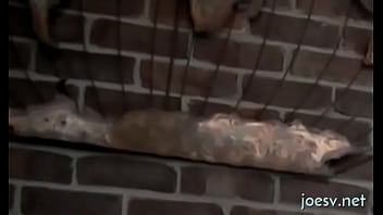 Preview 2 of Public Masturbate Voyeur - Cock jerking off homo pleasures