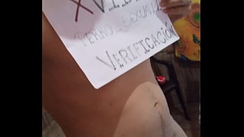Preview 3 of Super Anties - V&iacute_deo de verificaci&oacute_n