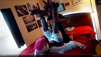 Preview 2 of Sis Cot Sex - Duke Doberman On Blue Jay