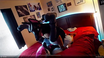 Preview 3 of Sis Cot Sex - Duke Doberman On Blue Jay